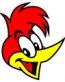 Woody-Woodpecker-Head-Funny-Cartoon-Car-Bumper-Vinyl