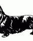 026 Dachshund Decal