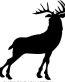 Stag Stickers - 4