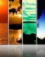 Abstract Art Vinyl Wall Decals 39