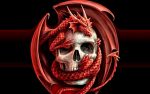 Dragons and Skulls Wall Decals 82