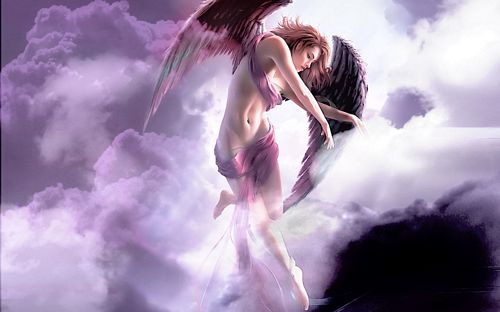 Fairies and Fantasy Wall Graphics 104