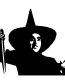 Wicked Witch vinyl car decal