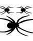 Spider Decal 3
