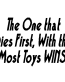 Most Toys Wins vinyl decal - 828D