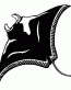 Manta Ray Decal
