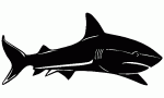 Shark Decal