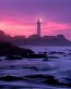 Beaches and Coastal Vinyl Wall Graphics 094