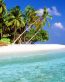 Beaches and Coastal Vinyl Wall Graphics 151