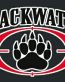 Blackwater Video Game Logo