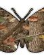 Butterfly Camo Sticker 1 - NATURE