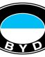 BYD Color Logo