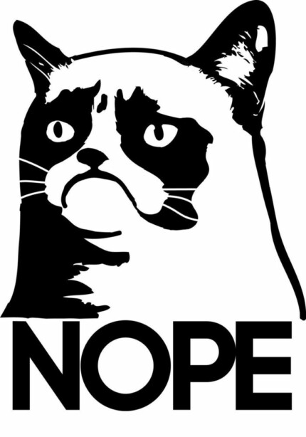 Cat Decal NOPE Funny Car Decal