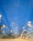 Counds and Sky Vinyl Wall Graphics 016