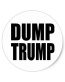 DUMP TRUMP STICKER 4