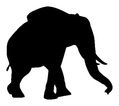 Elephant Decal 016