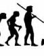 Evolution Sport Stickers SOFTBALL PITCHER