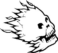 Flame Skull Decal 5