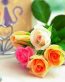 Flowers and Plants Vinyl Wall Art 097