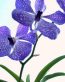 Flowers and Plants Vinyl Wall Art 165