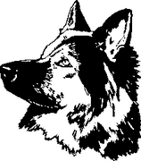 German Shepard Decal 27