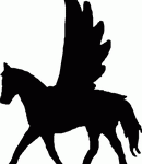 Horse Decals -33