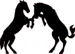 Horse Fight Decal