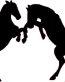 Horse Fight Decal