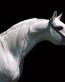 Horse Wall Art Decals 07