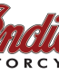 ind motor color logo sticker 1