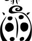 Ladybud Decal 01