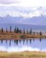 Lake Scenes Vinyl Wall Decal Decoration 38
