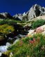 Mountain Scenes Wall Art Decals 119