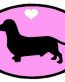 Oval Dachshund Decal PINK
