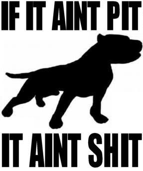 Pitbull Vinyl Car Decal 07