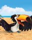 Rio Movie Wallpaper 1