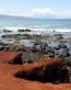 Rocks and Canyons Vinyl Wall Graphics 74