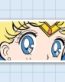 SM5 Anime Sticker