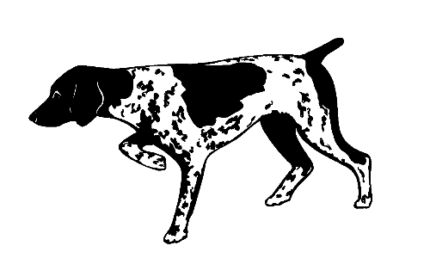 046 German Shorthair Pointer Decal