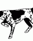 046 German Shorthair Pointer Decal