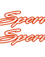 Sport outline decal