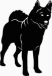 Akite Dog Decal - 15A