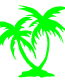 Palm Trees Decal 11