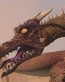 Dragons and Skull Wall Decals 10