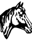 Horse Head auto graphic