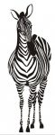 African Animal Decal 05