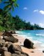 Beaches and Coastal Vinyl Wall Graphics 123