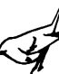 Bird Birds animal Car or Wall Vinyl Decal Sticker 04