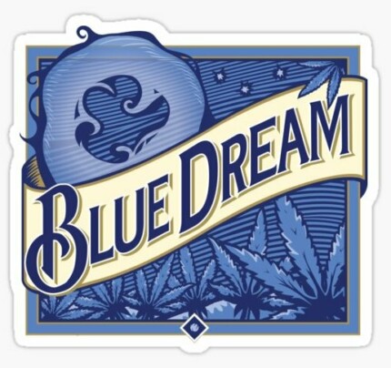 BLUE DREAM FUNNY BEER STICKER