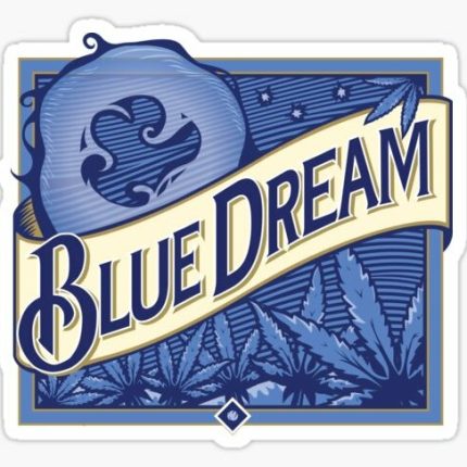 BLUE DREAM FUNNY BEER STICKER